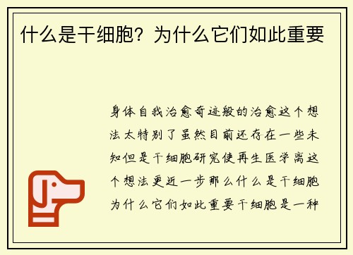 什么是干细胞？为什么它们如此重要