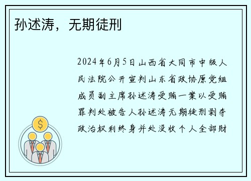 孙述涛，无期徒刑