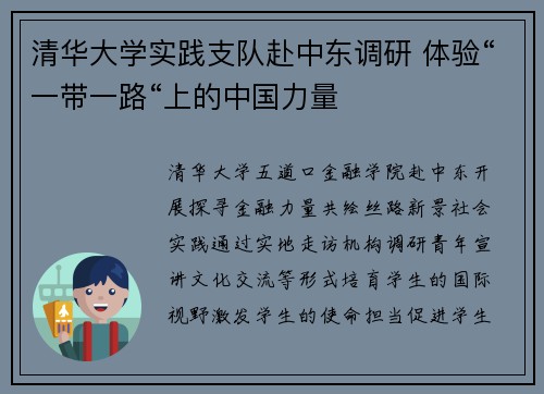 清华大学实践支队赴中东调研 体验“一带一路“上的中国力量