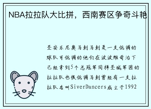 NBA拉拉队大比拼，西南赛区争奇斗艳