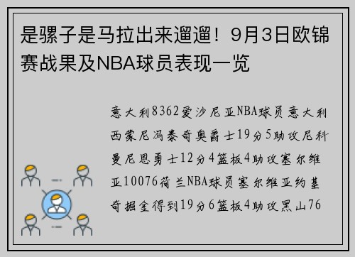 是骡子是马拉出来遛遛！9月3日欧锦赛战果及NBA球员表现一览